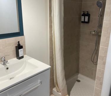 Voltaire - Saint Amour Apartment | CHARMANT STUDIO proximité GARE LYON PART-DEU