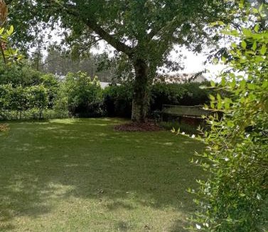 Leon Apartment | Charmant T1 avec jardin