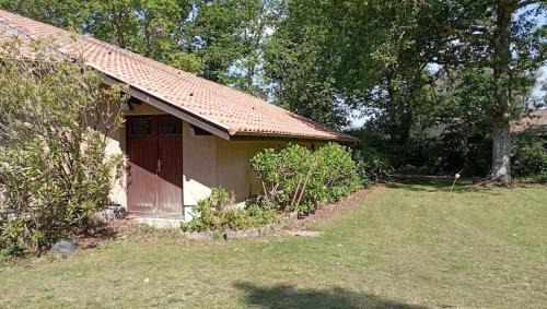 Leon Apartment | Charmant T1 avec jardin