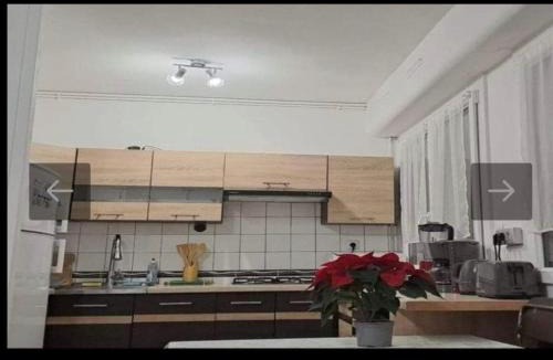 Bagnoles-de-l'Orne Apartment | Charmant T2 a deux pas des Thermes