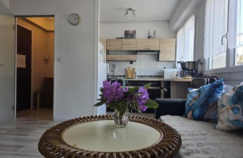 Bagnoles-de-l'Orne Apartment | Charmant T2 a deux pas des Thermes