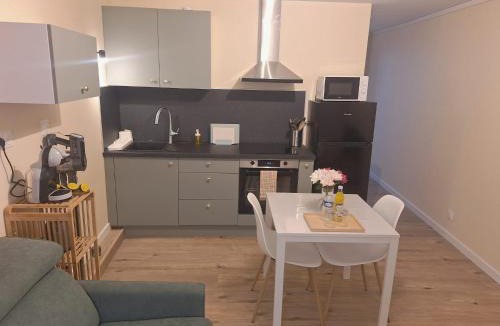 Besancon Apartment | Charmant T2- Besançon hyper centre