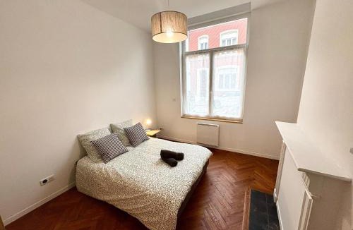 Douai Apartment | Charmant T2 en RDC Centre Douai Netflix