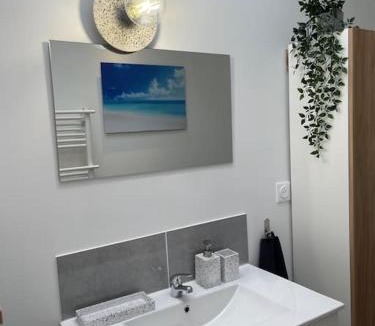 La Ferte-Gaucher Apartment | Charmant T2 proche du centre ville, accessible à pied