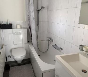 Uster District Apartment | charmante 3,5 Zimmer Wohnung im Bauernhaus