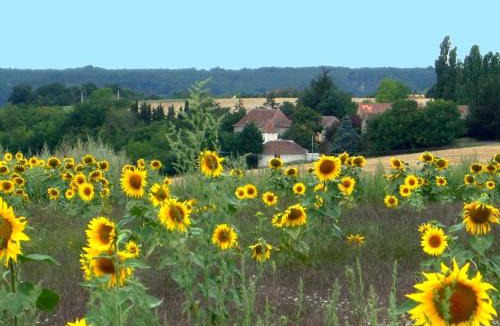 Abilly House | Charmante demeure du 17e en Touraine avec piscine privative - FR-1-381-368