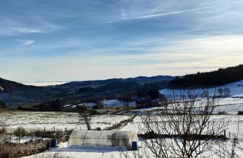 Chalmazel-Jeansagniere House | Charmante ferme rénovée, grand jardin, 8 chambres - FR-1-496-249