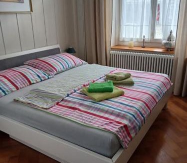 St. Gallen Apartment | Charmante Jugendstilwohnung mit Tiefengaragenplatz