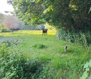 Bourbriac House | Charmante longère bretonne