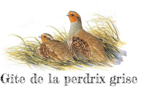 Audeville House | Charmante maison de campagne avec jardin privé, près de Paris et Orléans, idéale pour familles - FR-1-590-136