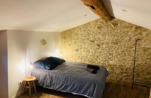 Castres Apartment | Charmante Maison Pierre l Jardin l Clim proche Zone Mélou