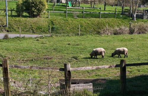 Godisson House | Charmante maison proche Haras du Pin - 6 pers. - FR-1-497-264