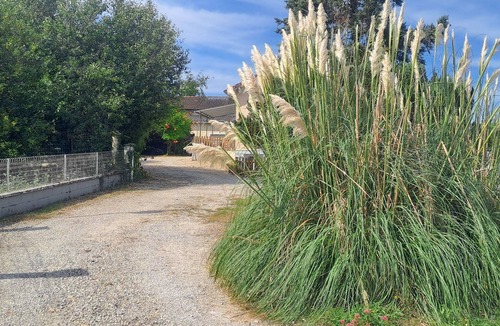 Torcenay House | Charmante Petite Maison