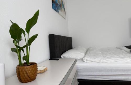 Chur Apartment | Charmantes Studio in Chur - alles in Reichweite