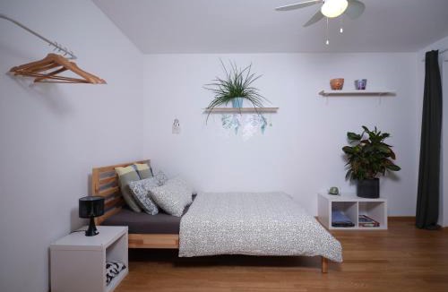 Breite House | Charmantes Zimmer mit Gemeinschaftsbereichen