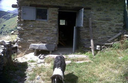 Urdos Ski Chalet | Charme authentique d'une cabane de montagne