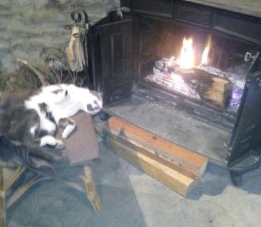 Urdos Ski Chalet | Charme authentique d'une cabane de montagne