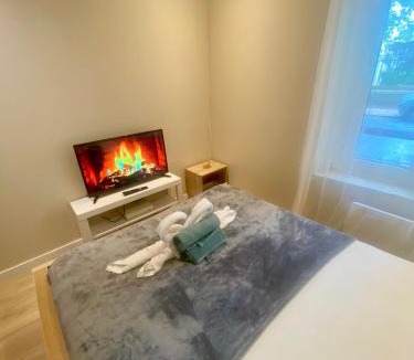 Le Parc Saint-Maur Apartment | Charme et Confort : T2 Lumineux