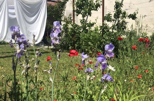 La Chapelle-Saint-Mesmin House | Charming mezzanine studio