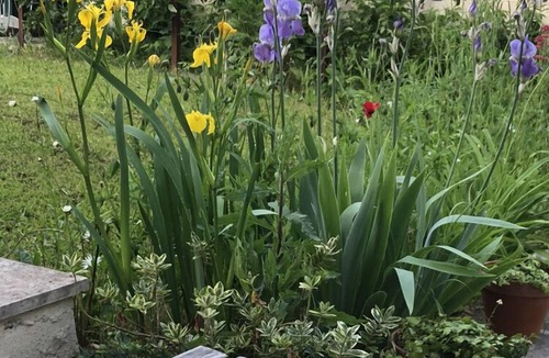 Saint-Pryve-Saint-Mesmin Apartment | Charming single-storey studio in a quiet location