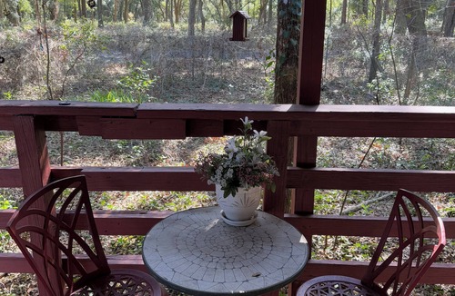 Dunnellon Cottage | Charming 1-bedroom cottage with saltwater pool and AC in Dunnellon