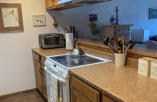 Frisco Condo | Charming 1-bedroom condo in Frisco