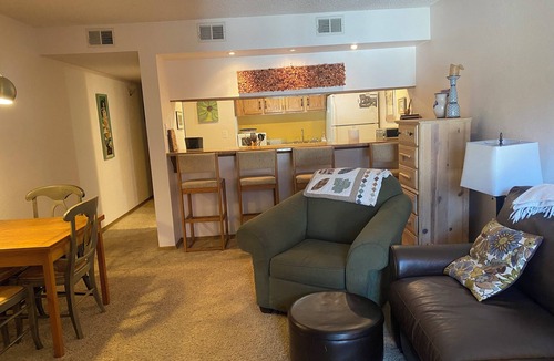 Frisco Condo | Charming 1-bedroom condo in Frisco