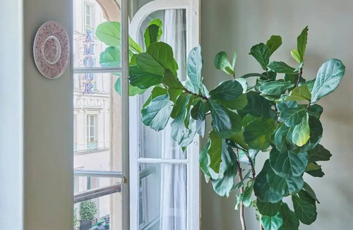 Quartier Saint-Georges Apartment | Charming 1-bedroom next to rue des Martyrs