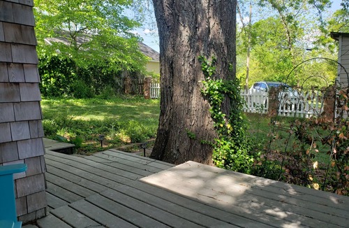 Stone Mountain Historic Village House | Charming 1910 Historic House