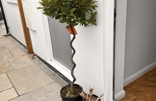 Marshborough Apartment | Charming 2-bed Apartment in Sandwich in Kent