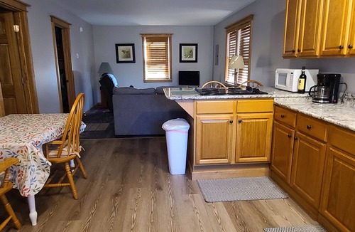 Port Allegany Cabin | Charming 2-bedroom, 1 bath cabin along a stocked trout stream in God's Country!