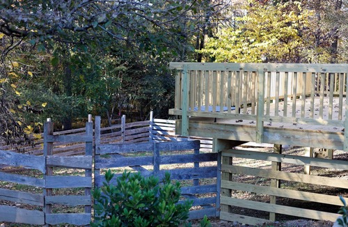 Carrboro House | Charming 2-bedroom bungalow in delightful Carrboro.