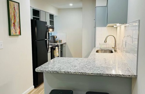 Downtown Greensboro Condo | Charming 2-bedroom condo with AC and WiFi in brilliant Greensboro