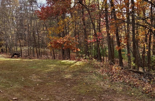 Waterfall Cabin | Charming 2-bedroom cabin in pleasant Waterfall