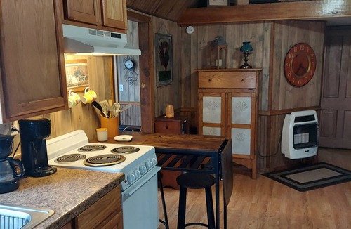 Wickes Cabin | Charming 2-bedroom cabin close to The Cossatot River.