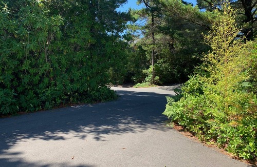 Florence Cottage | Charming 2-bedroom cottage near Heceta Beach