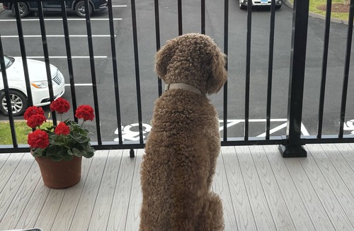 Berlin House | Charming 2-bedroom townhome