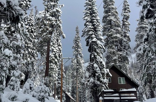 Echo Lake Cabin | Charming 2-bedroom cabin by Sierra Ski hill