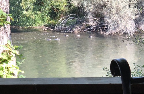 Gold Hill House | Charming 2bed/2bath home with covered deck right on the beautiful Rogue River