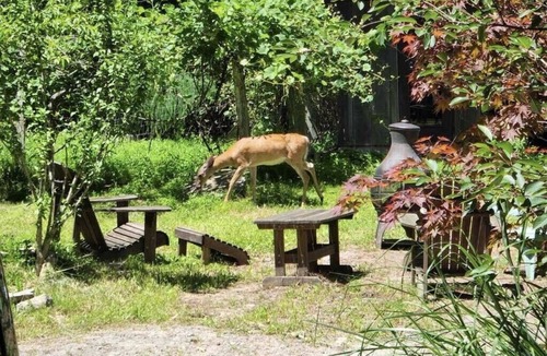 Canadensis House | Charming 3 bed Pocono Mountain Getaway