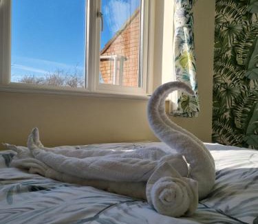 Rugby House | Charming 3 Bedroom Home