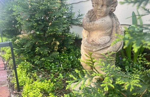 Shelby Park House | Charming 3-bedroom house in delightful Louisville with beautiful flower garden