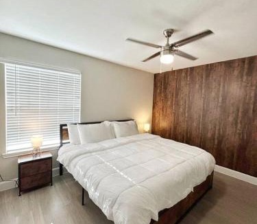 Astrodome Apartment | Charming 3Bed 2Bath apt in front of NRG and near TMC