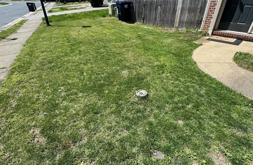 Elkton House | Charming 3rd floor Large bedroom inside townhome