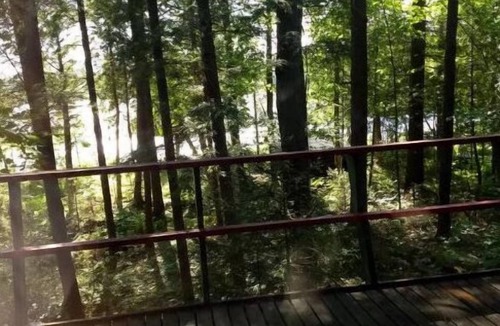 Paul Smiths Ski Chalet | Charming Adirondack Cabin on Regis Lake