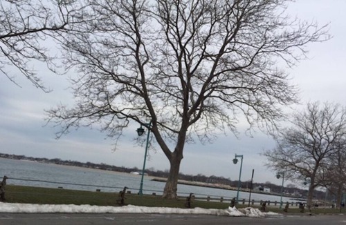 Fairfield Apartment | Charming and comfy bedroom