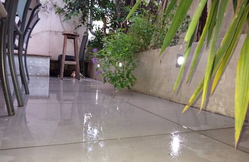 Gambetta Apartment | Charming and quiet central apartment