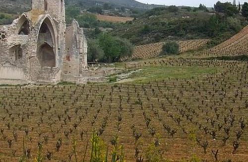 Portel-des-Corbieres Apartment | Charming apartment in an authentic setting