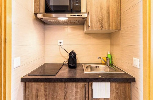 Downtown Geneva Apartment | Charming Apartment - 1br-4p- Geneva