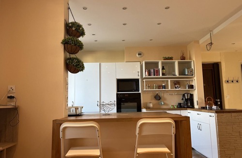 Feuillat Desgenettes Apartment | Charming apartment - 4P